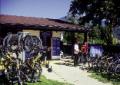 Segnana Bike-service